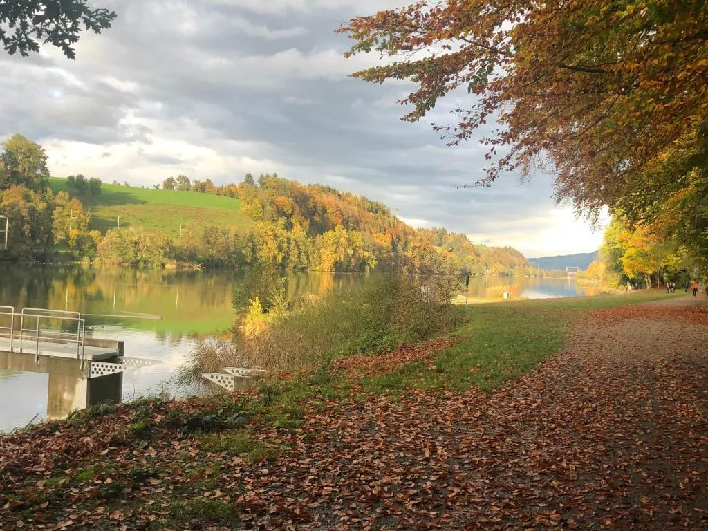 Image of Charming Studio near Rotsee Lucerne Kitchen/WiFi/Wasching machine